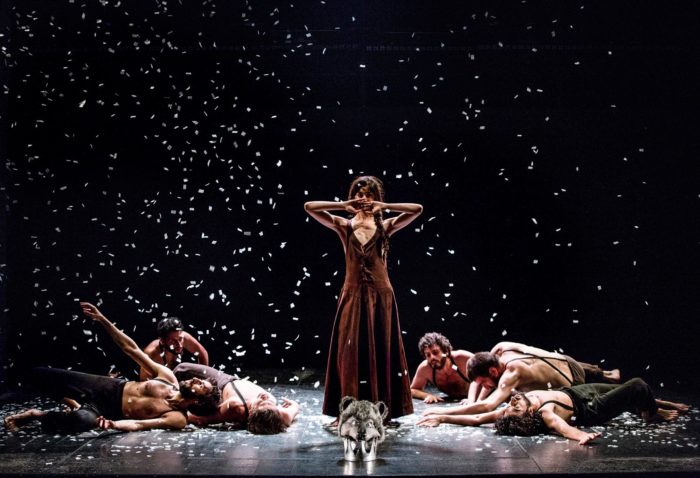 Abitare la battaglia